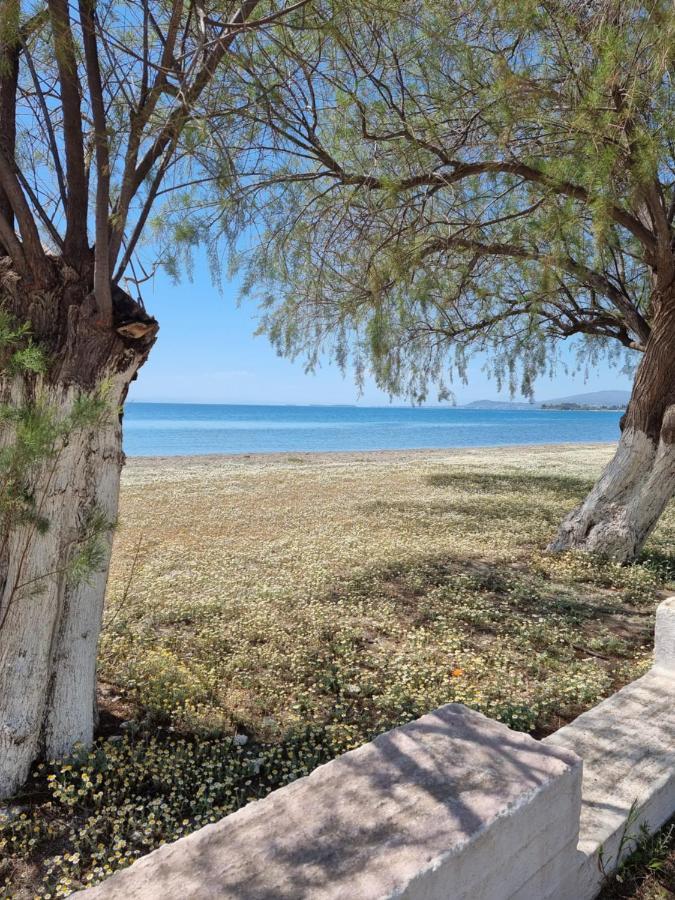 To Kyma Lejlighedshotel Amarynthos Eksteriør billede